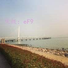 ʵ